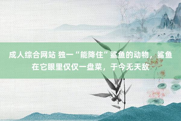 成人综合网站 独一“能降住”鲨鱼的动物，鲨鱼在它眼里仅仅一盘菜，于今无天敌