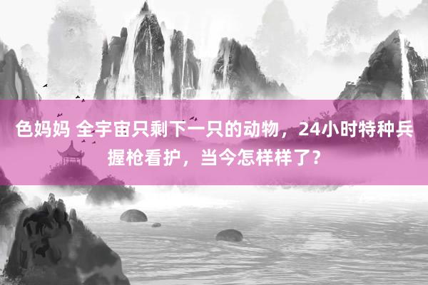 色妈妈 全宇宙只剩下一只的动物，24小时特种兵握枪看护，当今怎样样了？