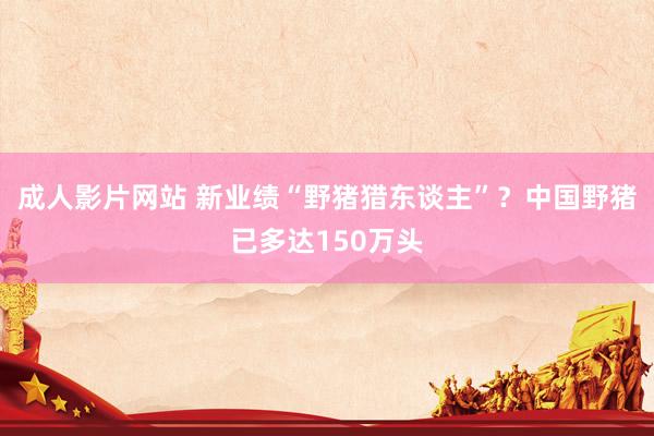 成人影片网站 新业绩“野猪猎东谈主”？中国野猪已多达150万头