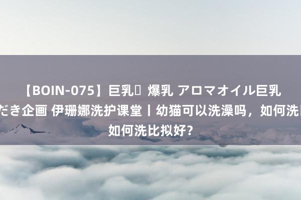 【BOIN-075】巨乳・爆乳 アロマオイル巨乳揉みしだき企画 伊珊娜洗护课堂丨幼猫可以洗澡吗，如何洗比拟好？