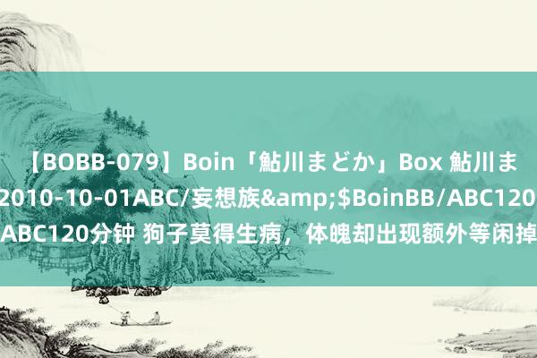 【BOBB-079】Boin「鮎川まどか」Box 鮎川まどか</a>2010-10-01ABC/妄想族&$BoinBB/ABC120分钟 狗子莫得生病，体魄却出现额外等闲掉毛，查验效果有点慌