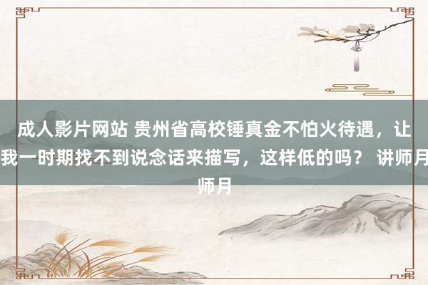 成人影片网站 贵州省高校锤真金不怕火待遇，让我一时期找不到说念话来描写，这样低的吗？ 讲师月