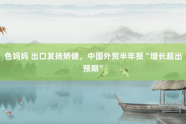 色妈妈 出口发扬矫健，中国外贸半年报“增长超出预期”