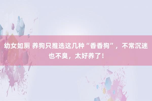幼女如厕 养狗只推选这几种“香香狗”，不常沉迷也不臭，太好养了！