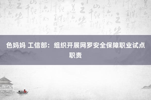 色妈妈 工信部：组织开展网罗安全保障职业试点职责