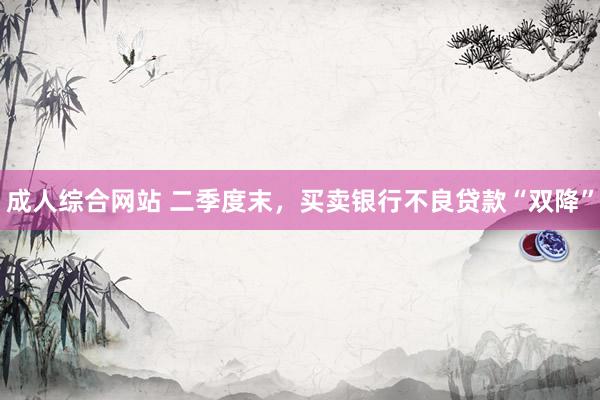 成人综合网站 二季度末，买卖银行不良贷款“双降”