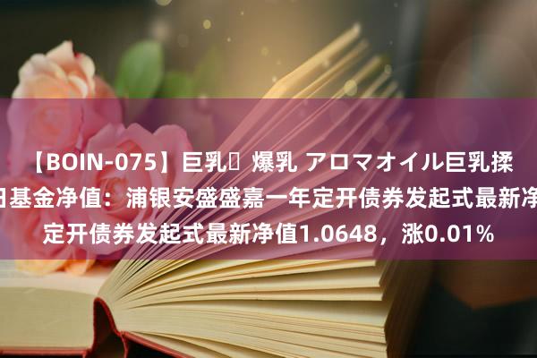 【BOIN-075】巨乳・爆乳 アロマオイル巨乳揉みしだき企画 8月13日基金净值：浦银安盛盛嘉一年定开债券发起式最新净值1.0648，涨0.01%