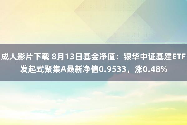 成人影片下载 8月13日基金净值：银华中证基建ETF发起式聚集A最新净值0.9533，涨0.48%