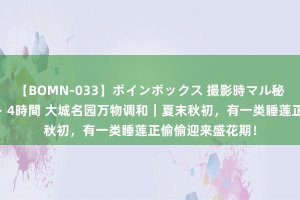 【BOMN-033】ボインボックス 撮影時マル秘面接ドキュメント 4時間 大城名园万物调和｜夏末秋初，有一类睡莲正偷偷迎来盛花期！