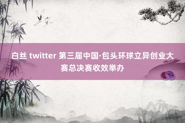 白丝 twitter 第三届中国·包头环球立异创业大赛总决赛收效举办