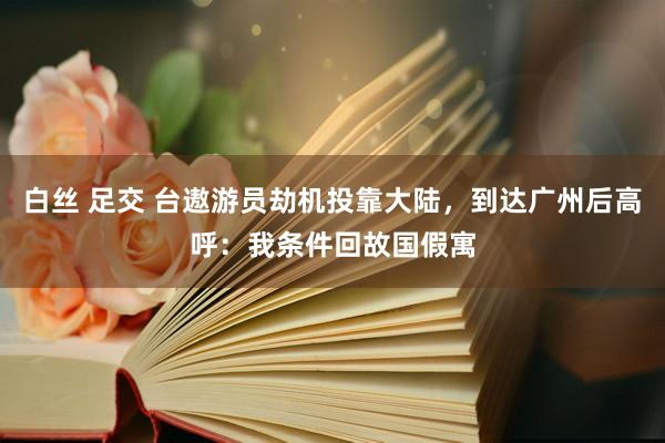 白丝 足交 台遨游员劫机投靠大陆，到达广州后高呼：我条件回故国假寓