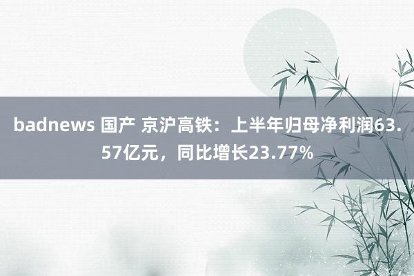 badnews 国产 京沪高铁：上半年归母净利润63.57亿元，同比增长23.77%