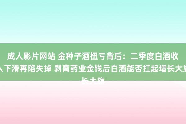 成人影片网站 金种子酒扭亏背后：二季度白酒收入下滑再陷失掉 剥离药业金钱后白酒能否扛起增长大旗