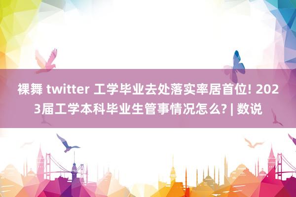 裸舞 twitter 工学毕业去处落实率居首位! 2023届工学本科毕业生管事情况怎么? | 数说