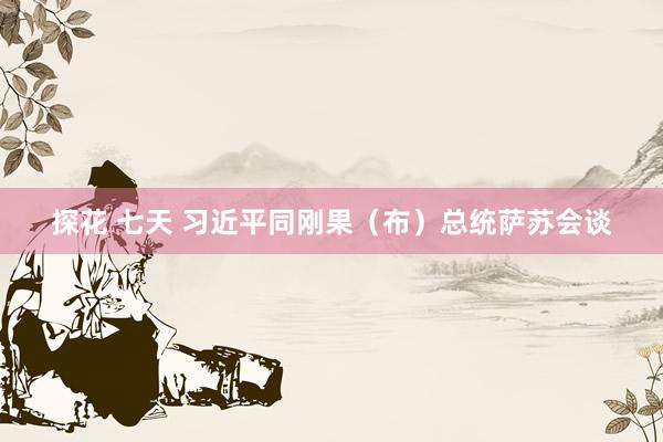 探花 七天 习近平同刚果（布）总统萨苏会谈