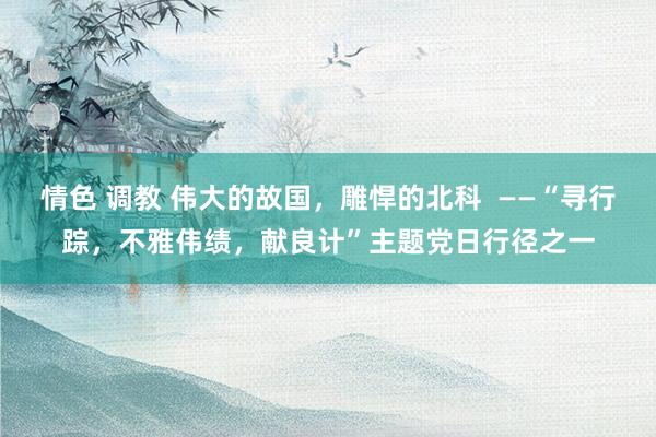 情色 调教 伟大的故国，雕悍的北科  ——“寻行踪，不雅伟绩，献良计”主题党日行径之一