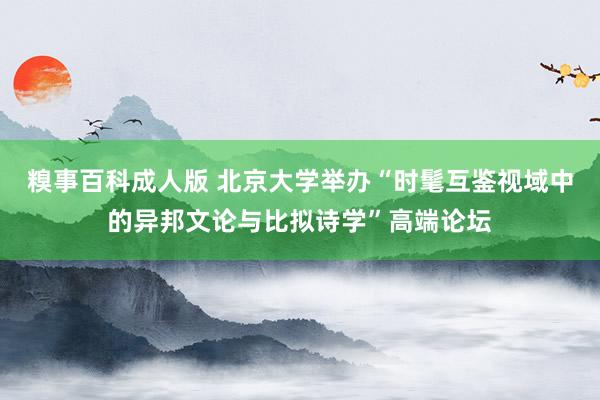 糗事百科成人版 北京大学举办“时髦互鉴视域中的异邦文论与比拟诗学”高端论坛