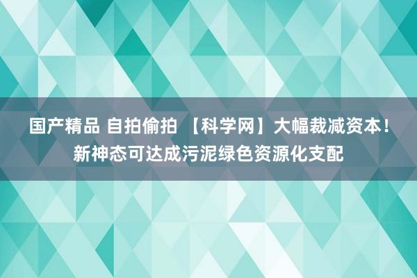 国产精品 自拍偷拍 【科学网】大幅裁减资本！新神态可达成污泥绿色资源化支配