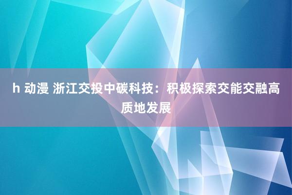 h 动漫 浙江交投中碳科技：积极探索交能交融高质地发展