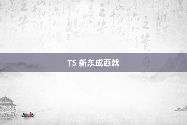 TS 新东成西就