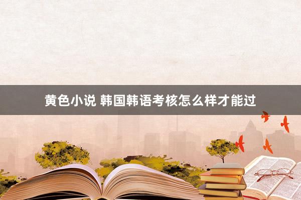黄色小说 韩国韩语考核怎么样才能过