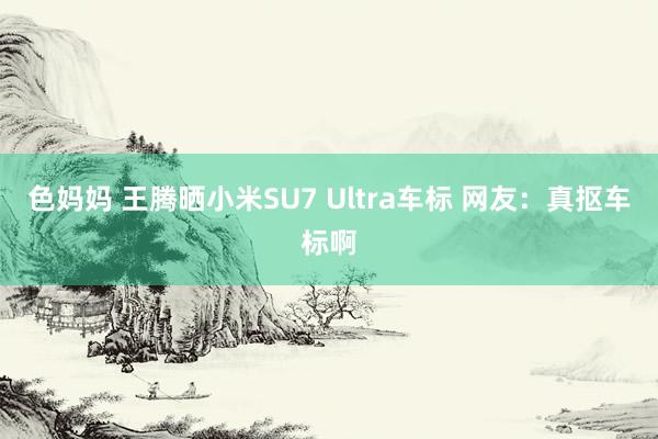 色妈妈 王腾晒小米SU7 Ultra车标 网友：真抠车标啊