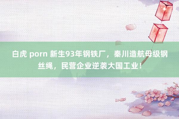 白虎 porn 新生93年钢铁厂，秦川造航母级钢丝绳，民营企业逆袭大国工业！
