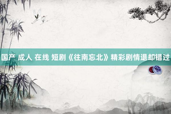 国产 成人 在线 短剧《往南忘北》精彩剧情退却错过