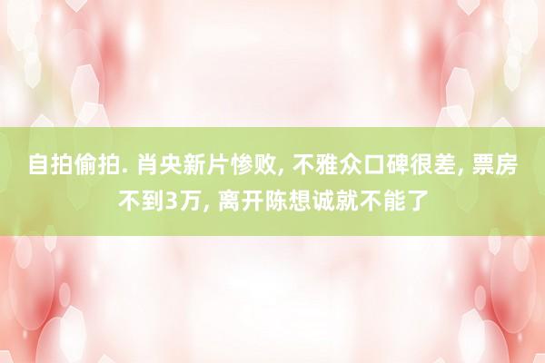 自拍偷拍. 肖央新片惨败, 不雅众口碑很差, 票房不到3万, 离开陈想诚就不能了