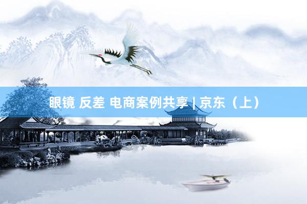 眼镜 反差 电商案例共享 | 京东（上）